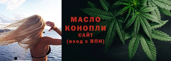 индика Медногорск