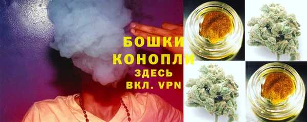 индика Медногорск