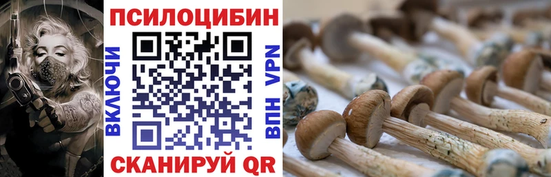 Псилоцибиновые грибы Psilocybe  Фёдоровский 